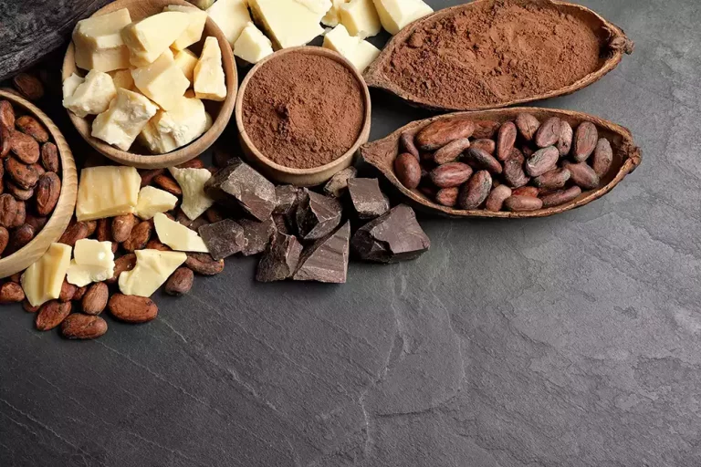 cocoa butter powder 2